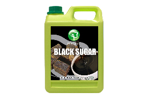 Black Sugar Syrup